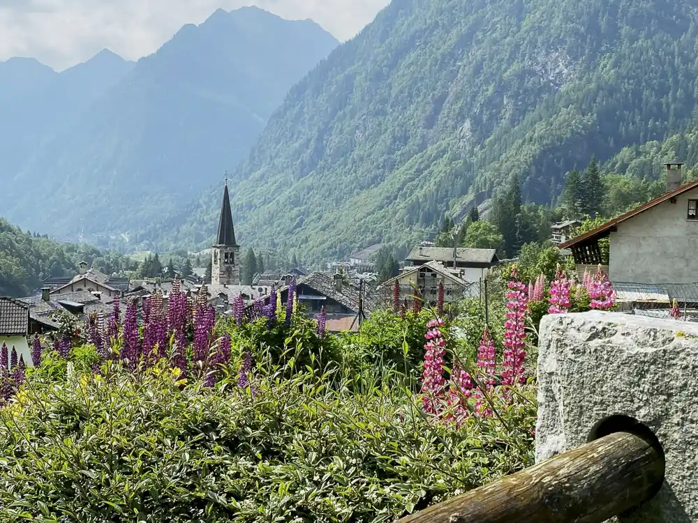 view town from hillside