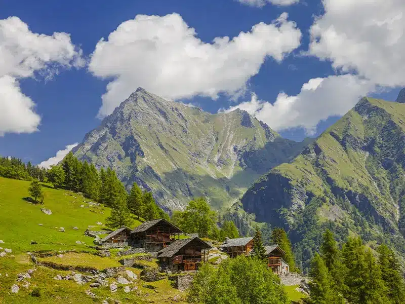 Landscape
