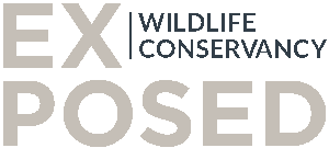 Exposed Wildlife