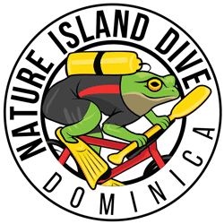 NID-Scuba-Club-Logo