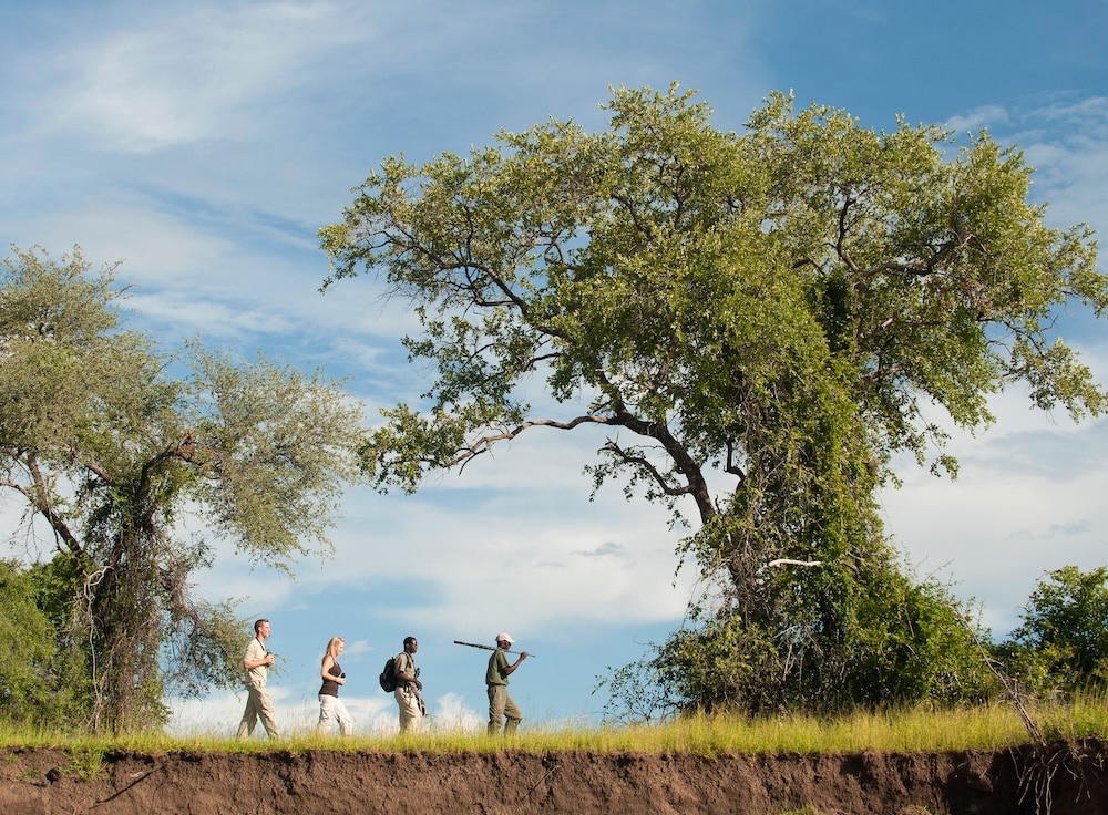 south luangwa walking safari zambia